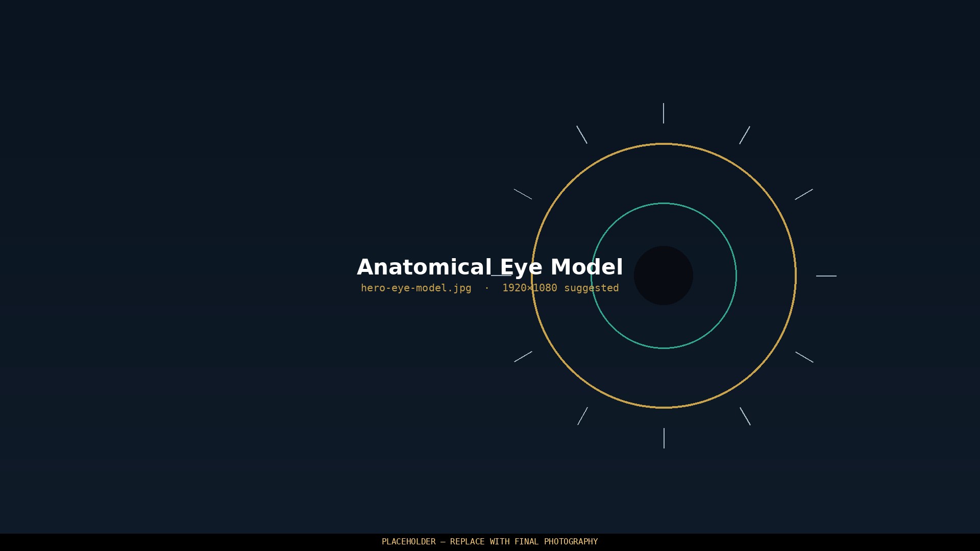 Anatomical eye model